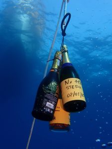 Lire la suite à propos de l’article 🌊 Week-end 1er mai : + de 200 plongées🐠 … et autant de sourires !